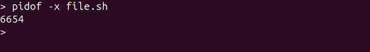 pidof Command in Linux5