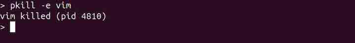 pkill Command in Linux5