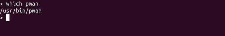 pman Command in Linux1