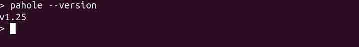 pstruct Command in Linux2