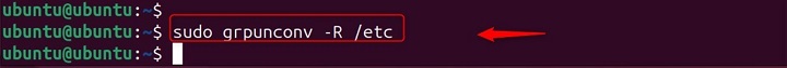 R Option Used to Perform Recursive Conversion
