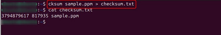 Redirect Output to a File
