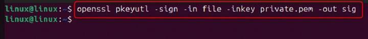 rsautl Command in Linux1
