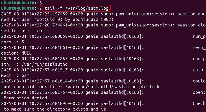 saslauthd Command in Linux16