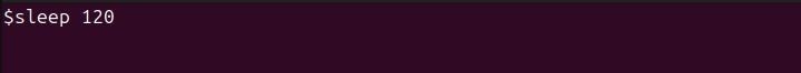 Sending Running Process to Background bg Command