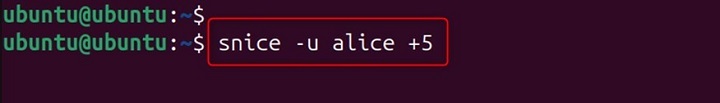 snice Command in Linux11