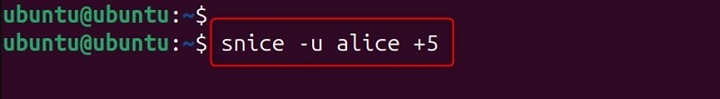 snice Command in Linux2