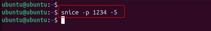 snice Command in Linux3