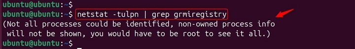 Starting Registry on Default Port2