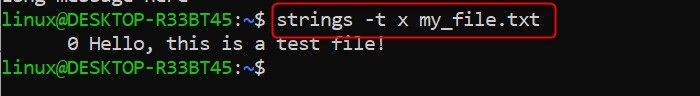 strings Command in Linux2