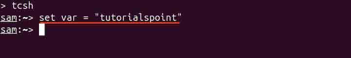 tcsh Command in Linux2