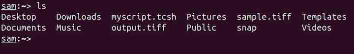 tcsh Command in Linux5