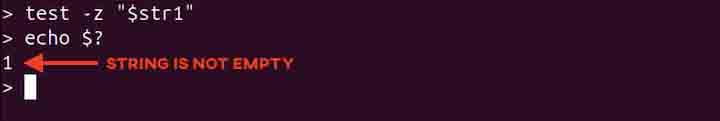 test Command in Linux5