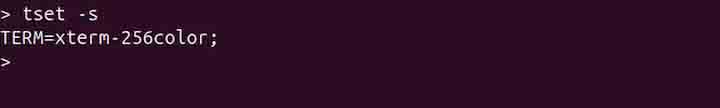 tset Command in Linux2