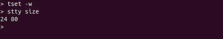 tset Command in Linux6