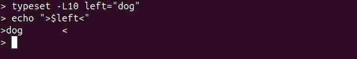 typeset Command in Linux8