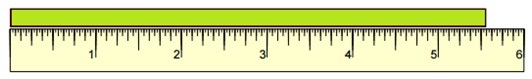 Quiz 3.5