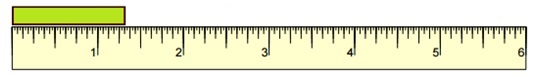 Quiz 3.6
