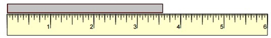 Quiz 3.9