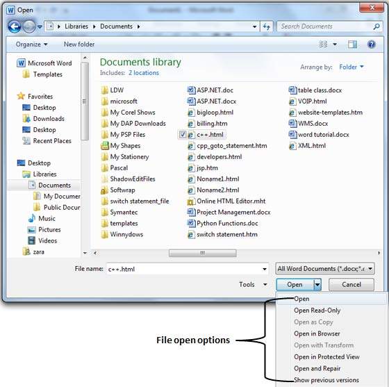 File Open Options